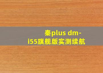 秦plus dm-i55旗舰版实测续航